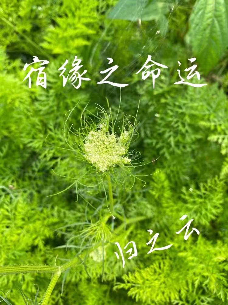 诉源治理宣传