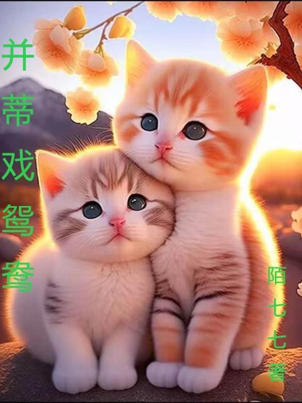 并蒂莲音乐