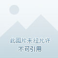 大夏第一皇子合集完整版