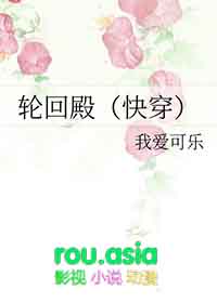 轮回殿主境界